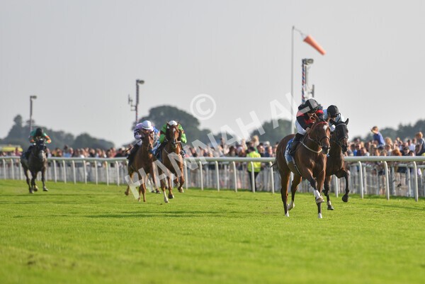 yr05092021r7-28 - Race 7 5.10pm Yorkshire Regiment Stakes