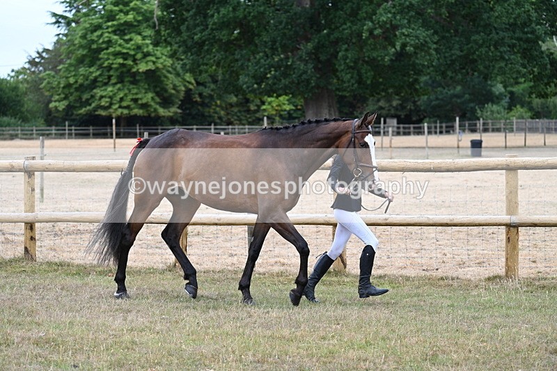 WJ7_8794 - Class 4a Prettiest Mare 14.2hh and over