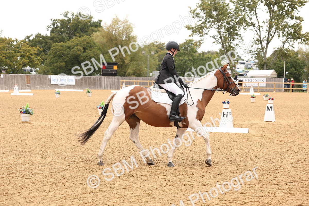 SBM_44041 - D6 - Small Tour Championship Intro 4