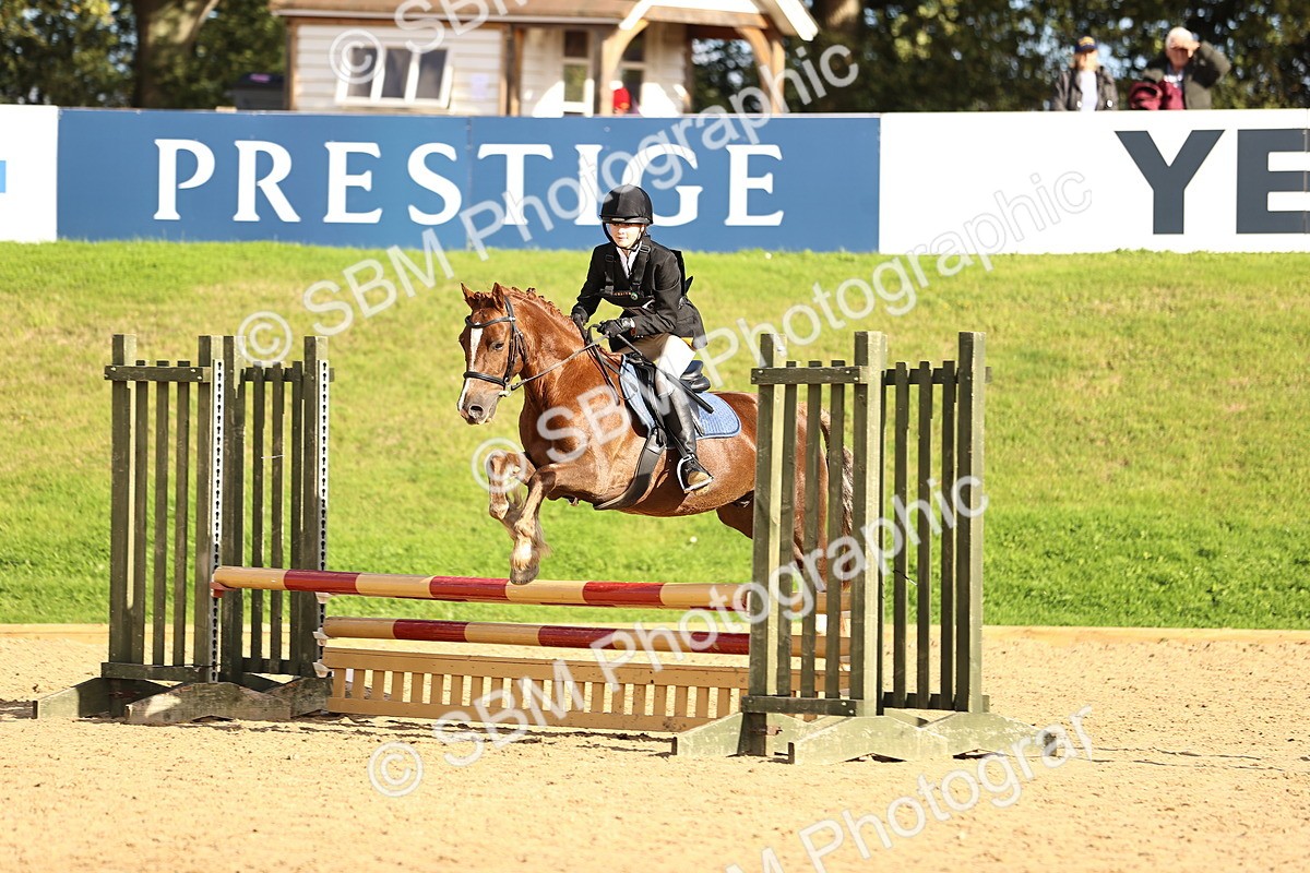 SBM_51441 - J10 - Junior Pony 75cm Championship