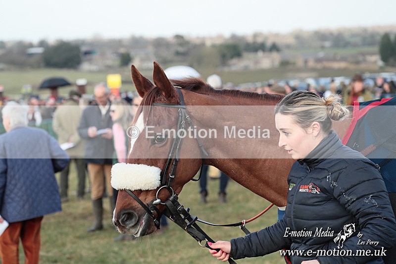 PtP 010325 696 - Beaufort Races Didmarton 01/03/25