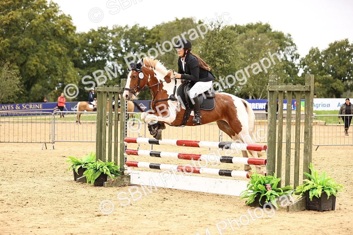 SBM_65737 - J17 - Junior Pony 80cm Championship