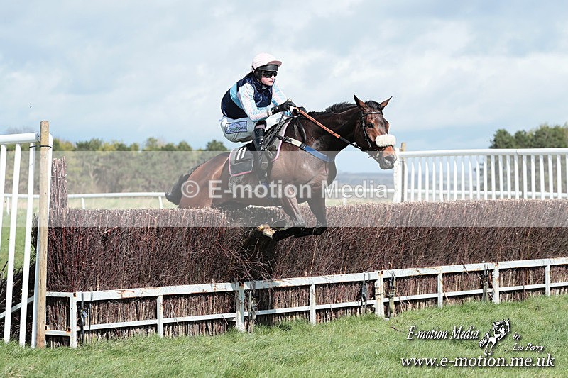 PtP 230324 283 - Tedworth Hunt PtP Larkhill Raccourse 23rd March 2024