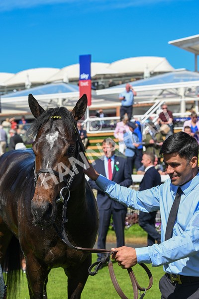 140525-Race 3-Inisherin-2285 - Race 3 3.13pm 1895 Duke Of York Clipper Stakes