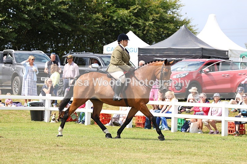 3E7A0483 - Rising Star Ridden Championship