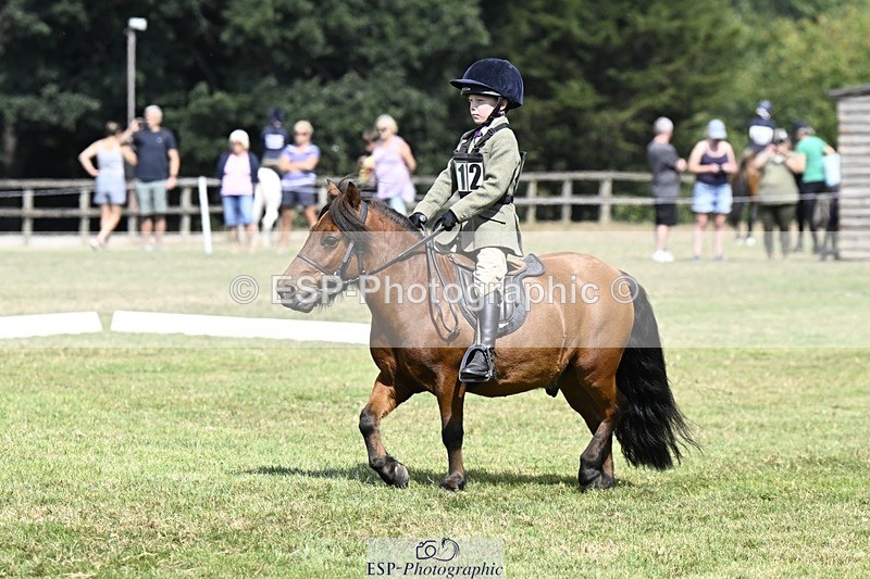 250822A-115516-22434 - DR 11.00 to 12.00