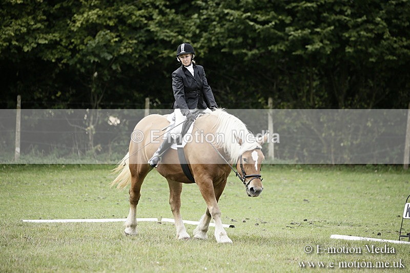 BVR080918 143 - BVRC Novice Dressage & CR 08/09/18