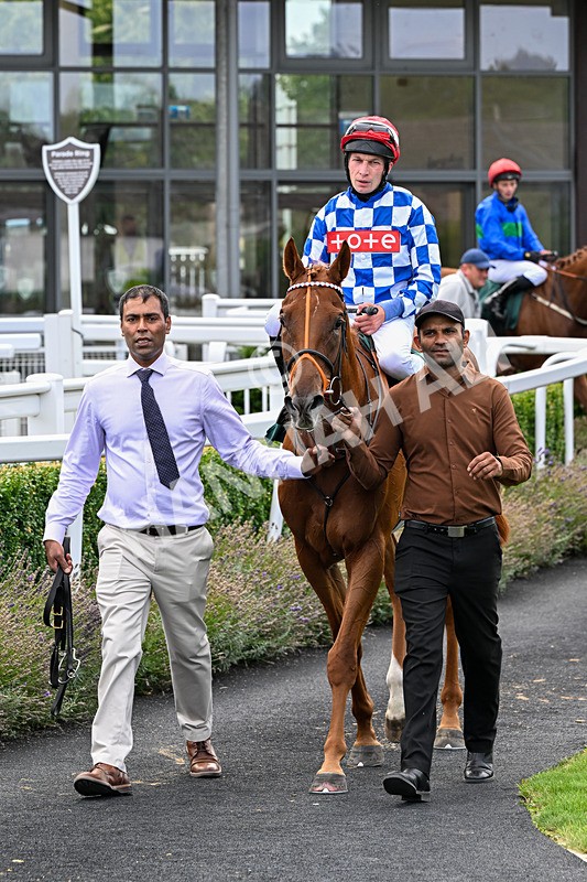 260826-Race 4-Niffler-3393 - Race 4 15:45 Hats Of Yorkshire Handicap