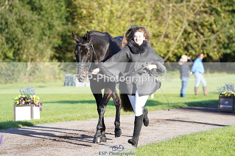 241026-100934-11653 - 002-Ellie.Fredericks-BRITANNIA'S.OLIVE