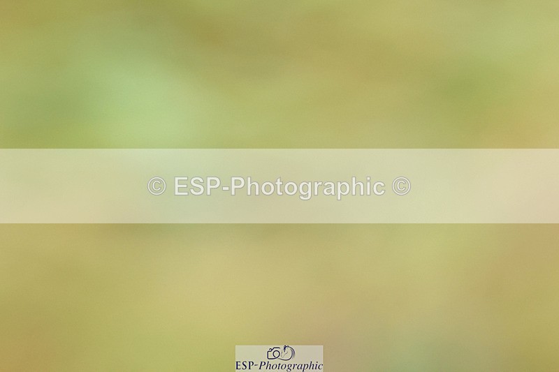 240824X-083603-21821 - D70 Section C and D 8.30 to 9.30