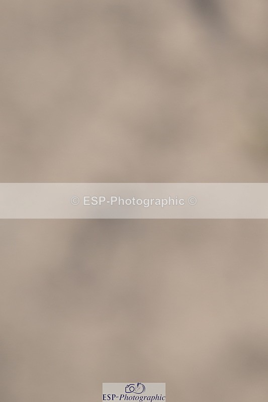 240514A-175720-00318 - 80cm