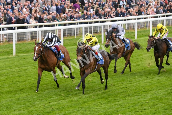 yr13052022r2-22 - Race 2 2.25pm Oaks Farm Stables Fillies' Stakes (registered as the Michael Seely Memorial Stakes)