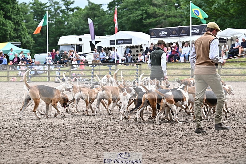 250524A-152222-12699 - East Devon Hounds
