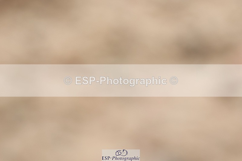 250622-133934-16726 - Cls 50 Elementary 5, 13.10 to End