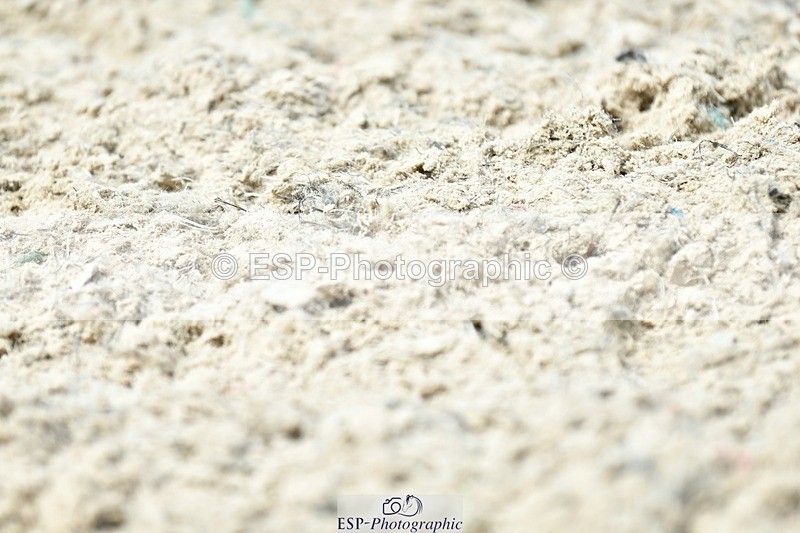 230623-120408-02177 - Cls 4 Novice 37Q Start to 12.35 break