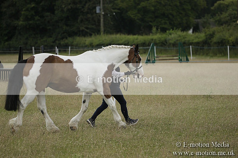 B230619-0259 - Bourne Valley Riding Club Summer Show 23/06/19