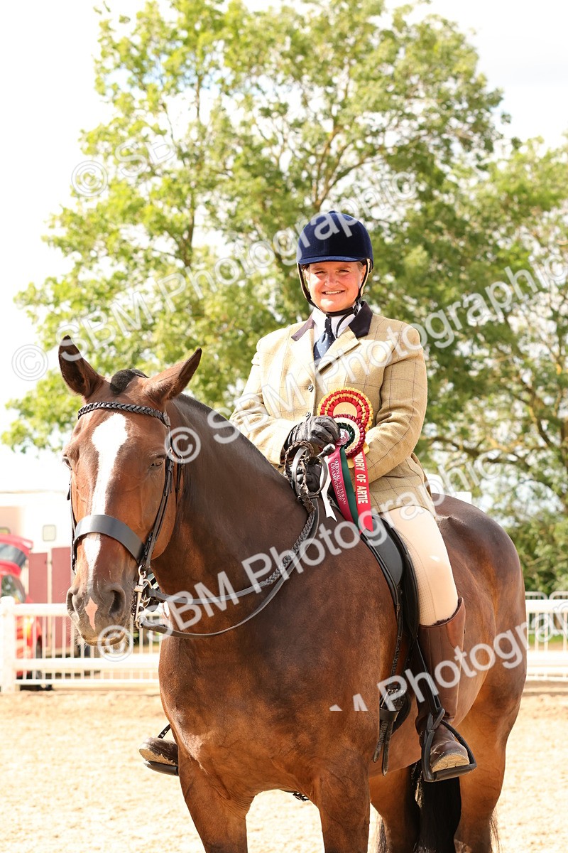 SBM_15614 - Class 214 - Ridden Show Cob