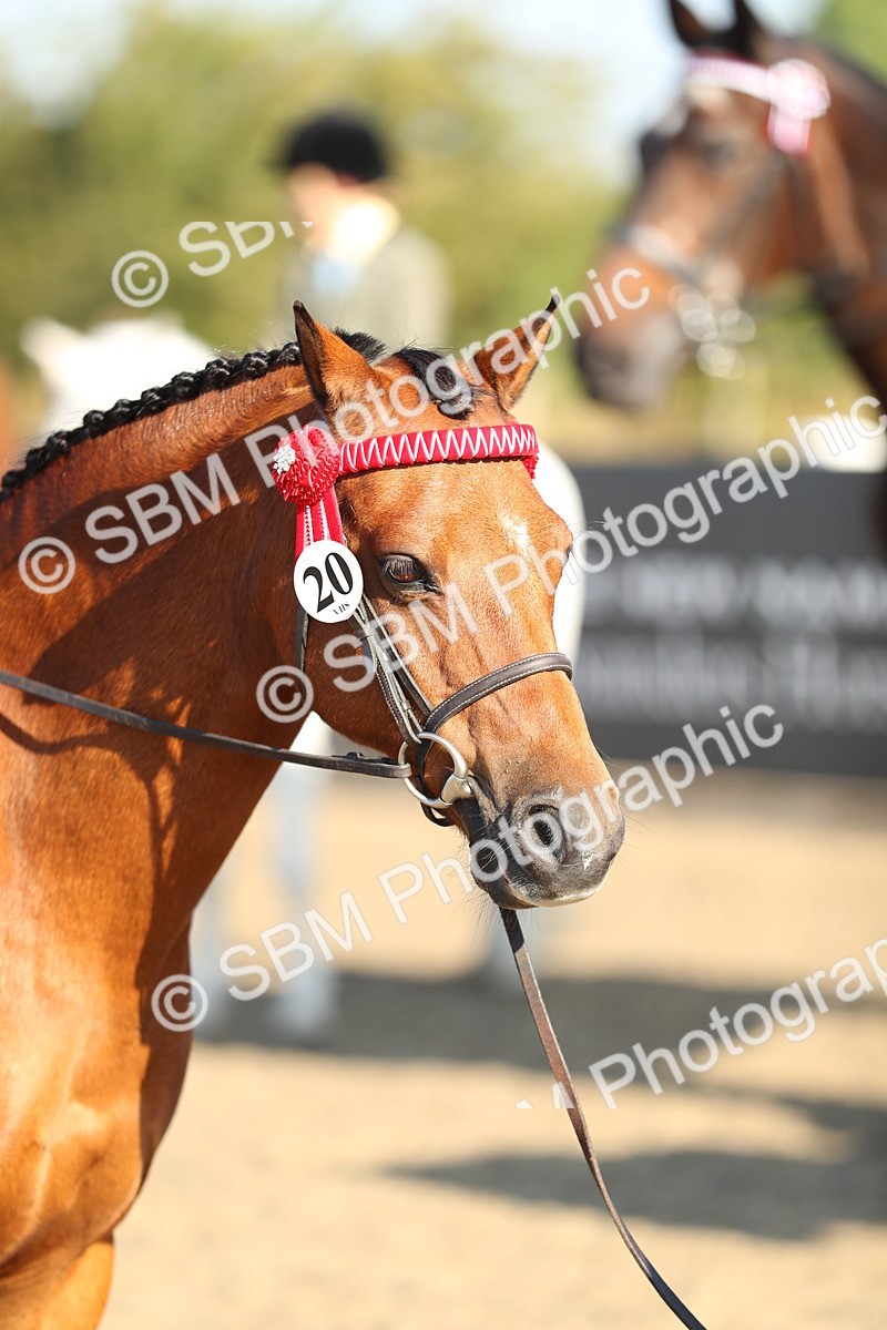 SBM_00388 - Class 41 Best Turned Out Ridden