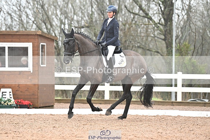 250215-115937-03313 - 165-Elder.Klatzko-Dynasty.Hit