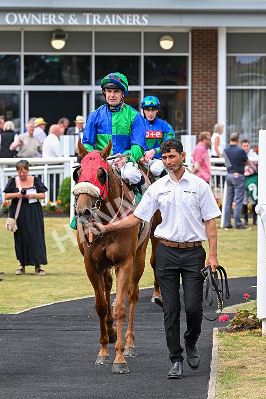 170625-Race 4-Lord Abama-5233 - Race 4