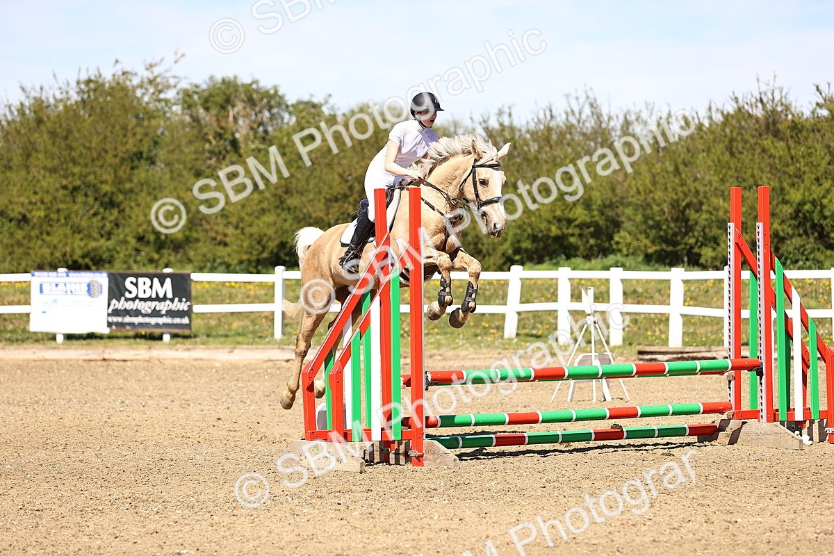 SBM_002570 - 80cm