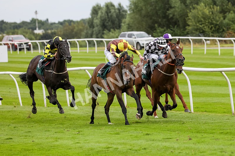 240724-Race 5-Furzig-3608 - Race 5