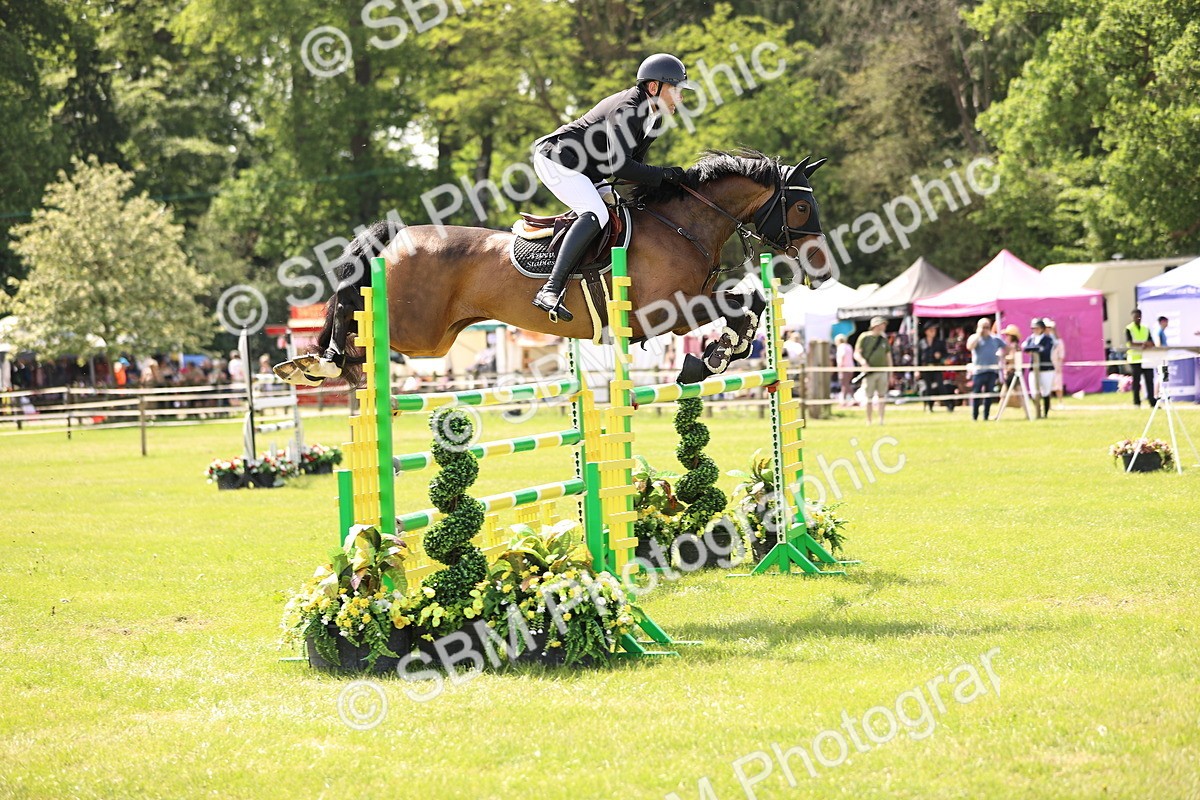 SBM_03262 - Class 201 - British Horse Feedds Speedi Beet HOYS Grade C