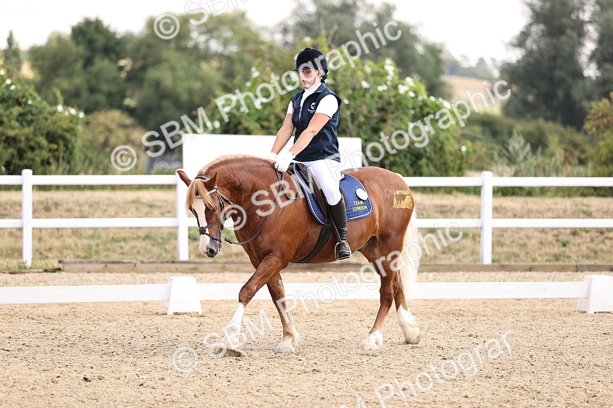 SBM_006579 - Intro 3 - 9.46-10.46