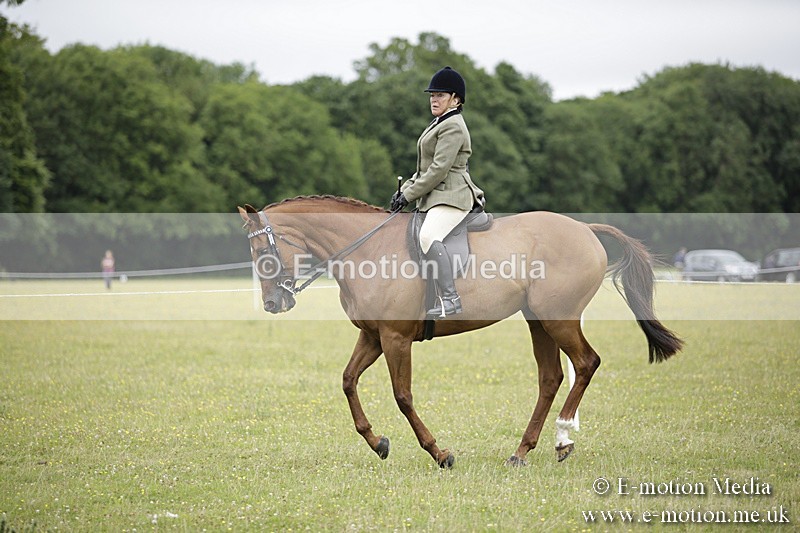 BVR160717-804 - Ring 1 BVRC Show 16/07/17