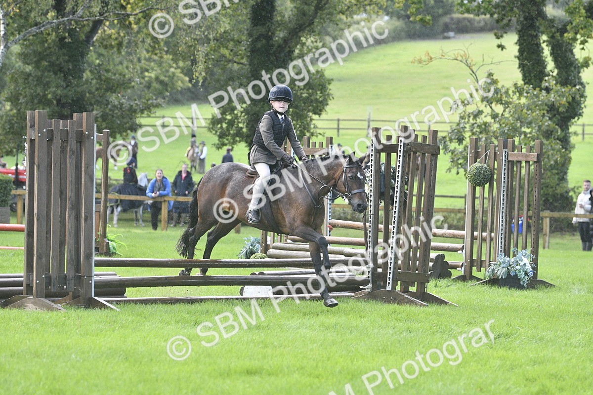 SBM_37176 - S31 - Novice & Newcomer Working Hunter Pony