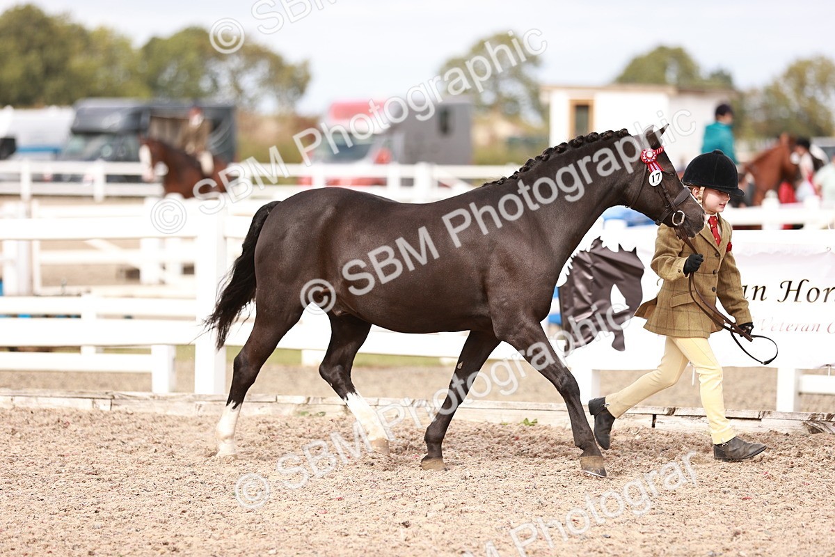 SBM_18364 - Class 418 - Best Condition - Jnr
