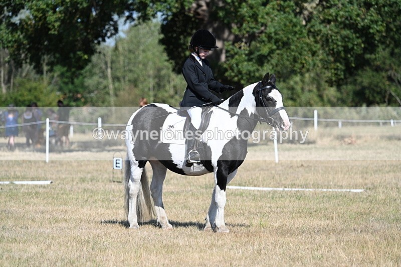 WJ7_9430 - Time 10:08 to 10:13