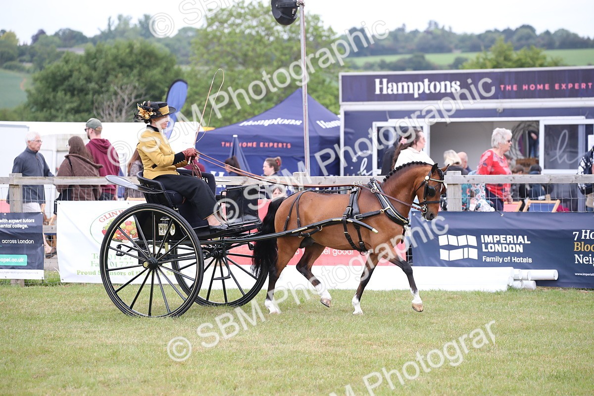 SBM_05810 - Class 12-15 - HOYS Private Driving