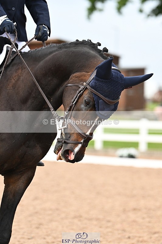 240621A-174107-06425 - Cls 9 MyQuest Novice 27