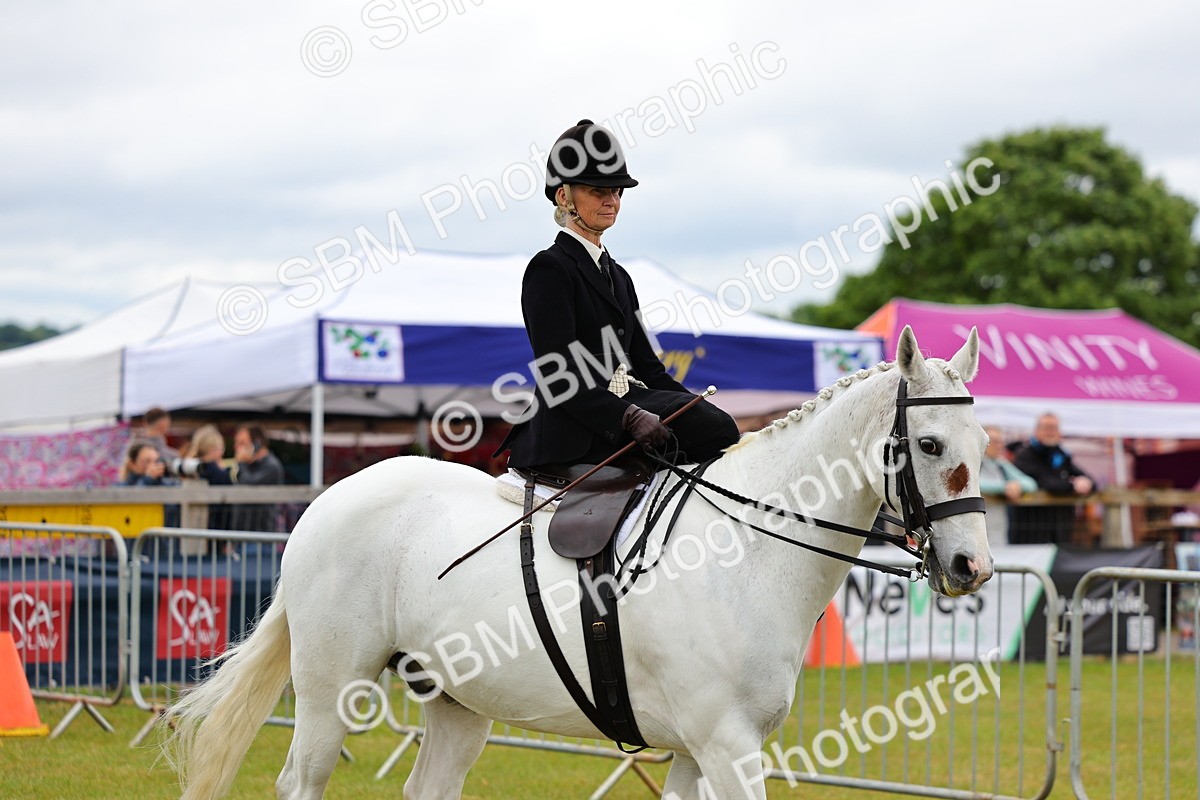 SBM_02693 - Class 9-11 Side Saddle including LIHS Rising Star Ladies Show Horse