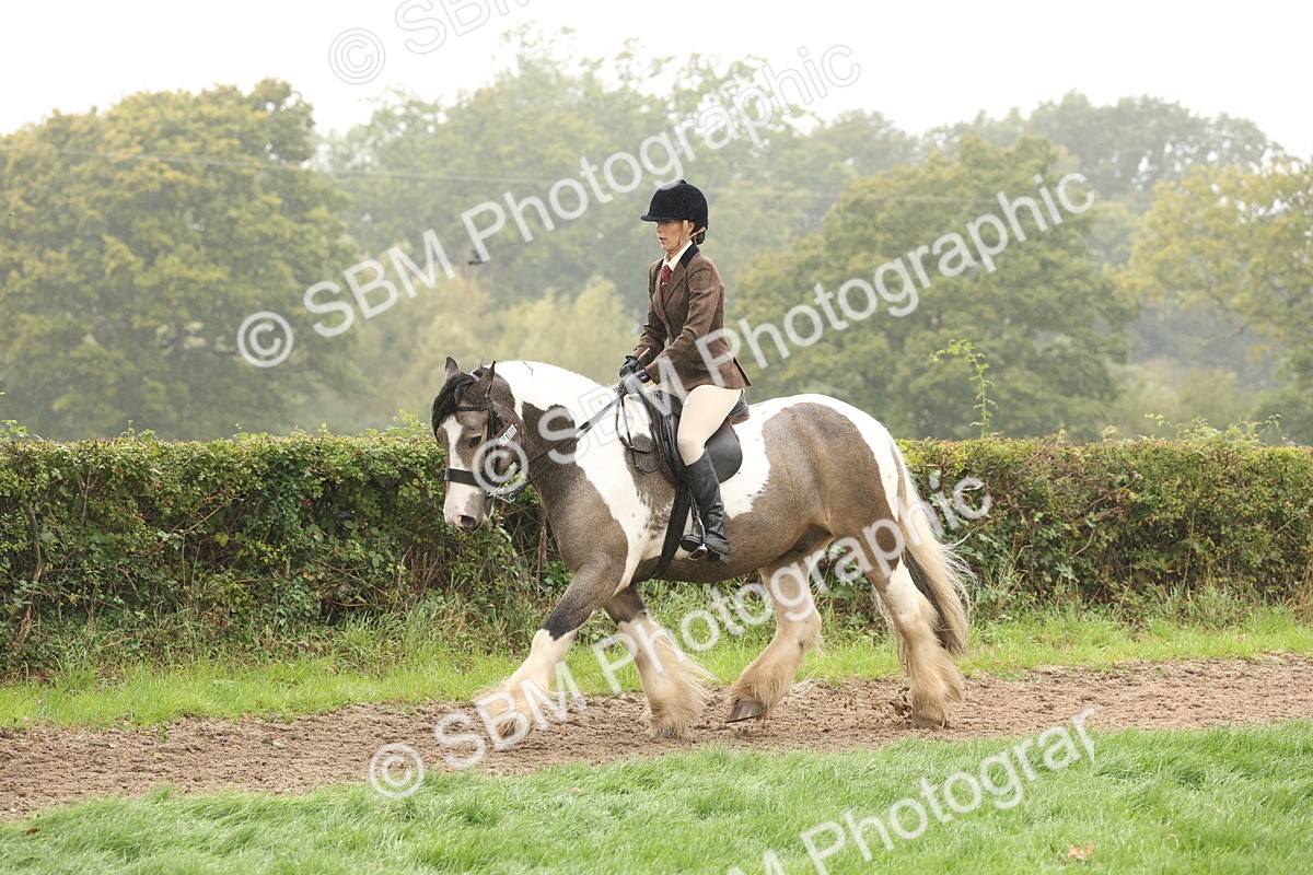 SBM_72735 - S70 - Traditional Cob Ridden