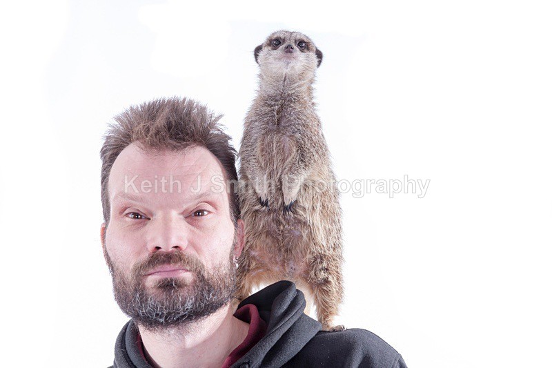 7SKJ4353 - Roaming Reptile Show III