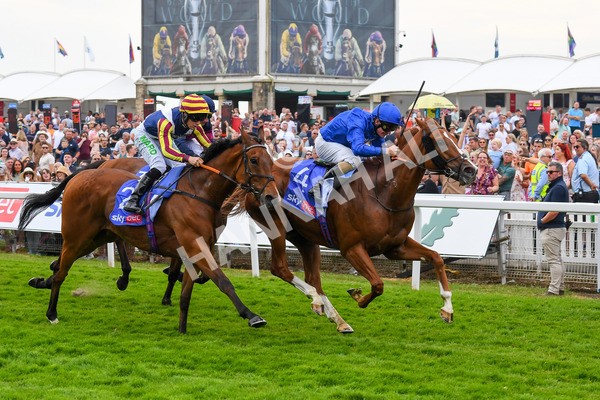 170623-Race 2-Wild Lion-0366 - Race 2 2.35pm Sky Bet Handicap