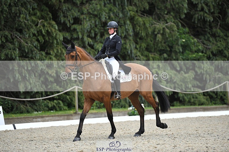 230525-152943-03262 - 327-ROMANTIC-Rosie_Fry-WEDTrotUp+DR