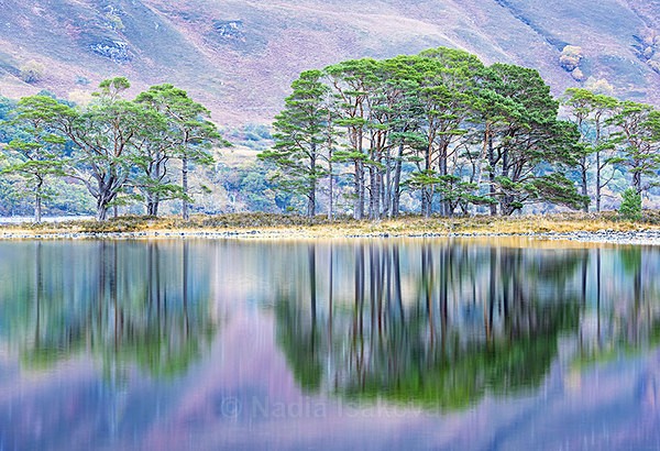  - Scotland, UK