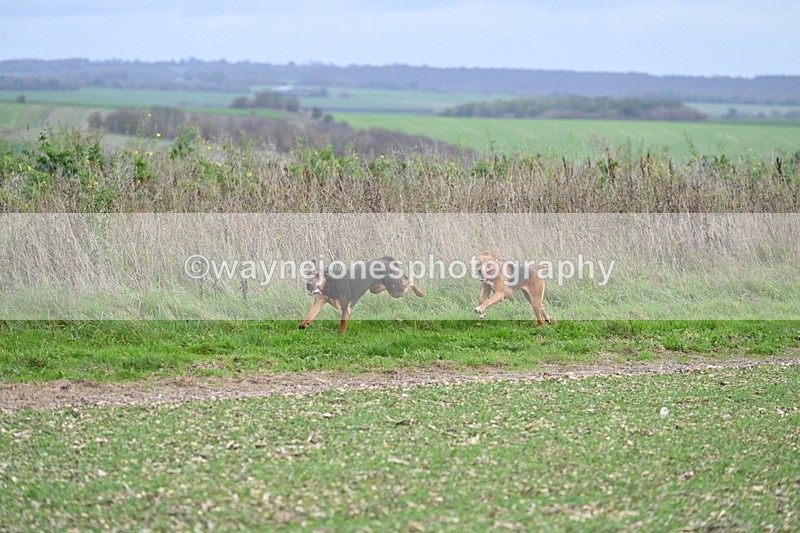 WJ7_2545 - Camera A