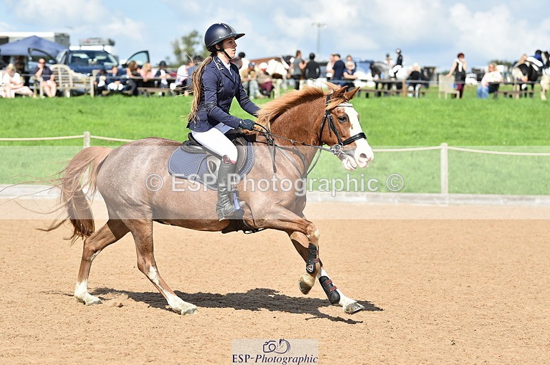 230902A-143334-01784 - Cls 3B Pony Medium 90cm