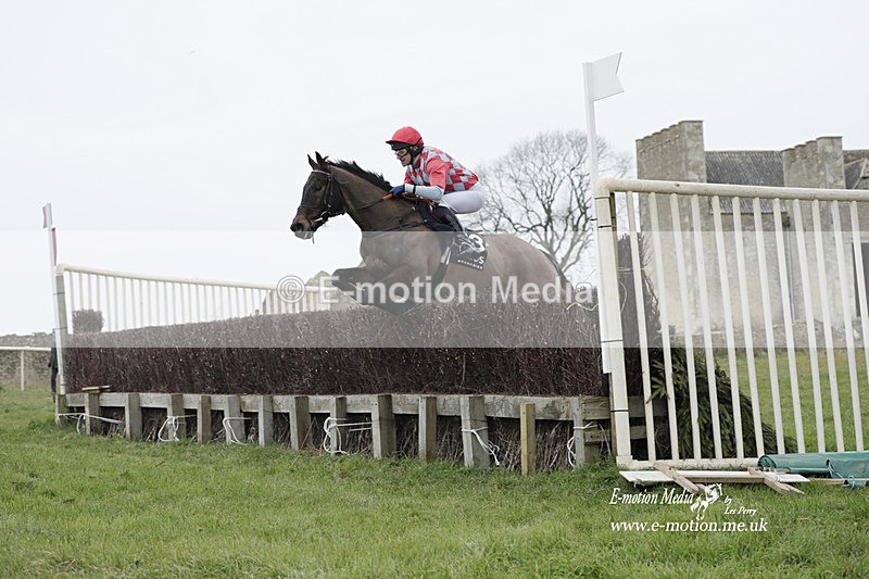 PtP 040323 488 - Duke of Beauforts Hunt Point-to-Point Didmarton 04/03/23