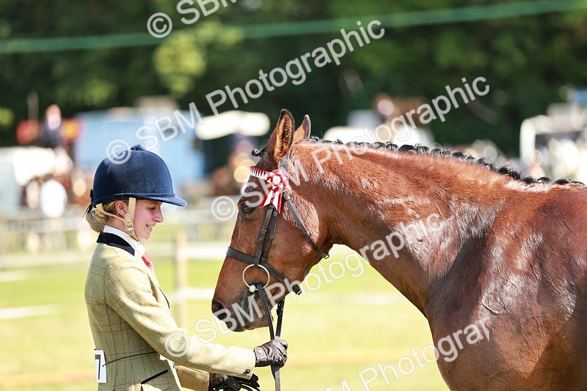 SBM_18925 - Class 114 - RIHS & SEIB Open Working Show Horse