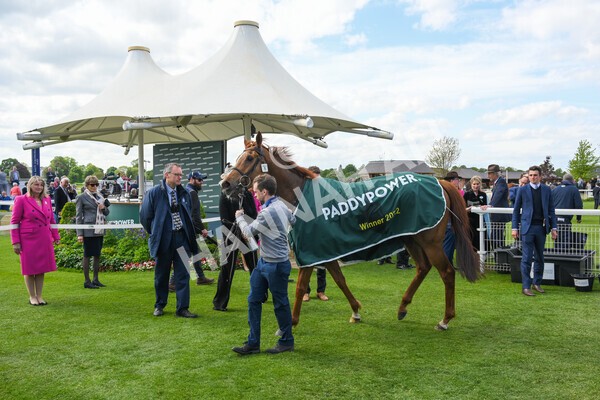 yr12052022r3-40 - Race 3 3.00pm The Paddy Power Hambleton Stakes