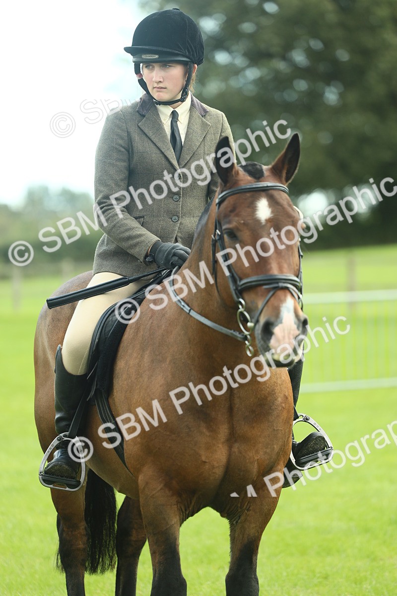 SBM_42226 - S29 - Novice & Newcomers Working Hunter Pony
