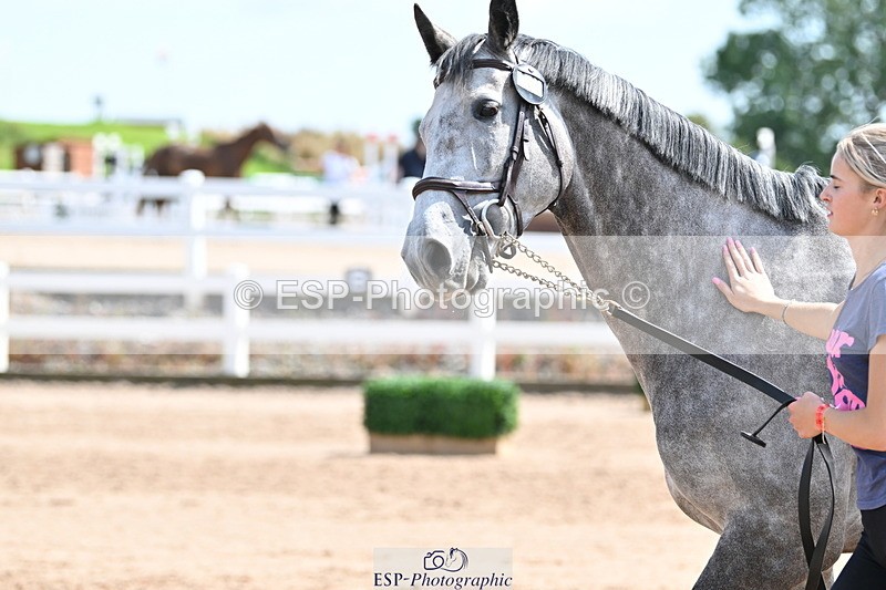 240717A-150601-02538 - Trot Up 3pm to 4pm