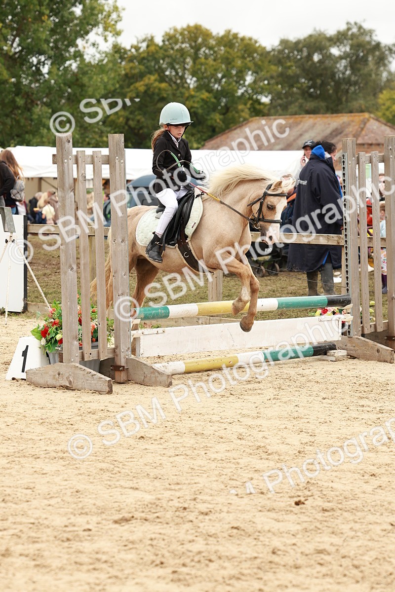 SBM_63810 - J12 - Junior Pony 55cm Championship