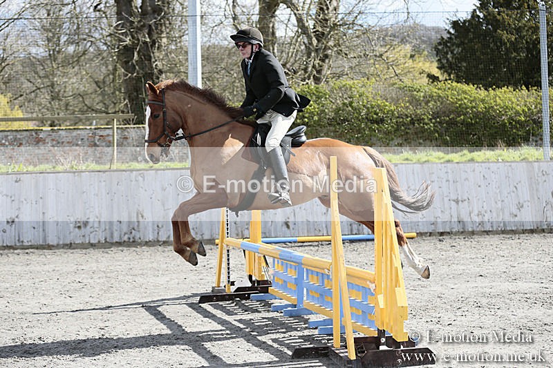 BVRC SJ 170319 328 - Bourne Valley Riding Club Showjumping 17/03/19
