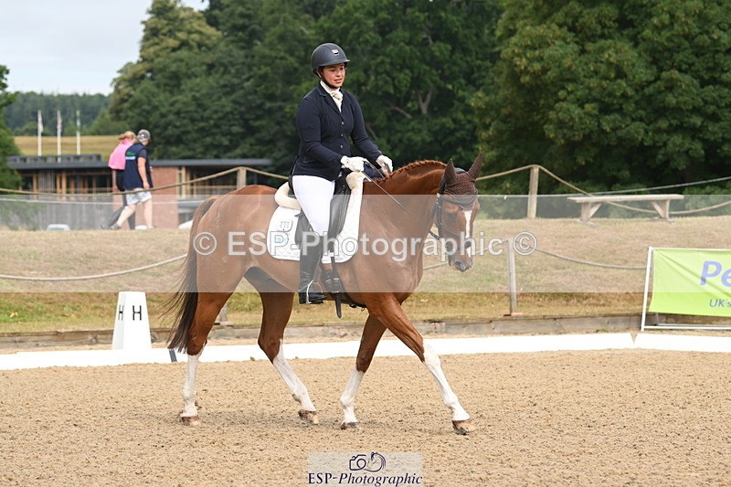 250719A-094632-03070 - 030-Harriet.Dickin-Custer.of.the.West